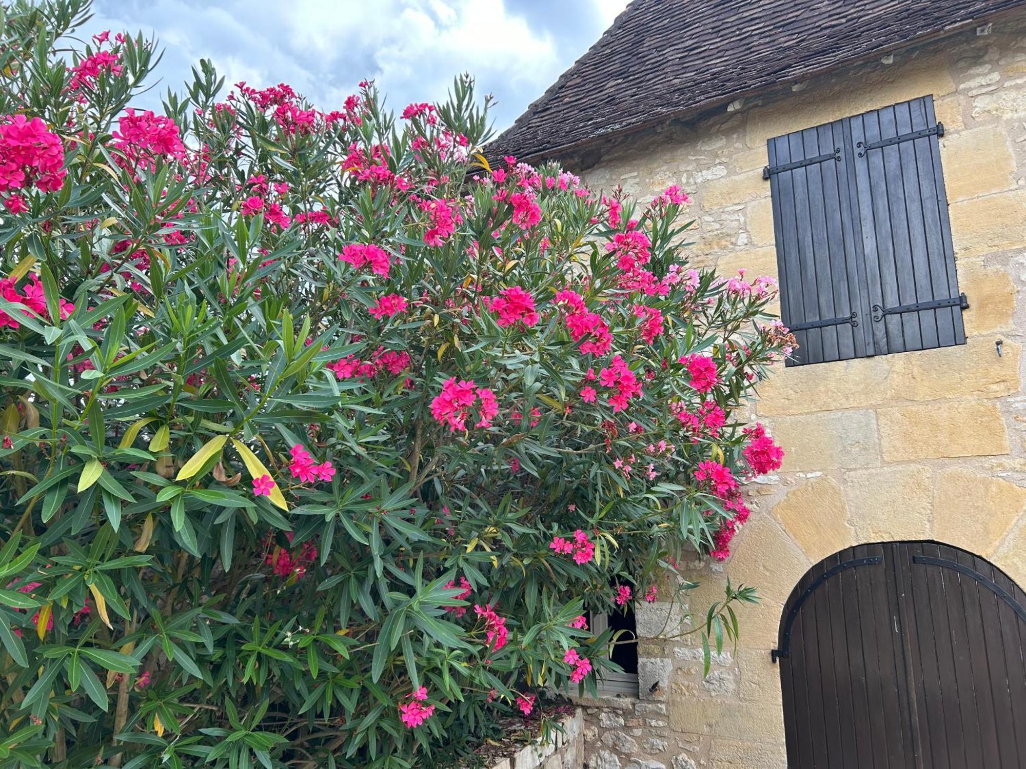 Demeure Du Vallon - Chambres D'Hotes De Charme Azerat Bagian luar foto