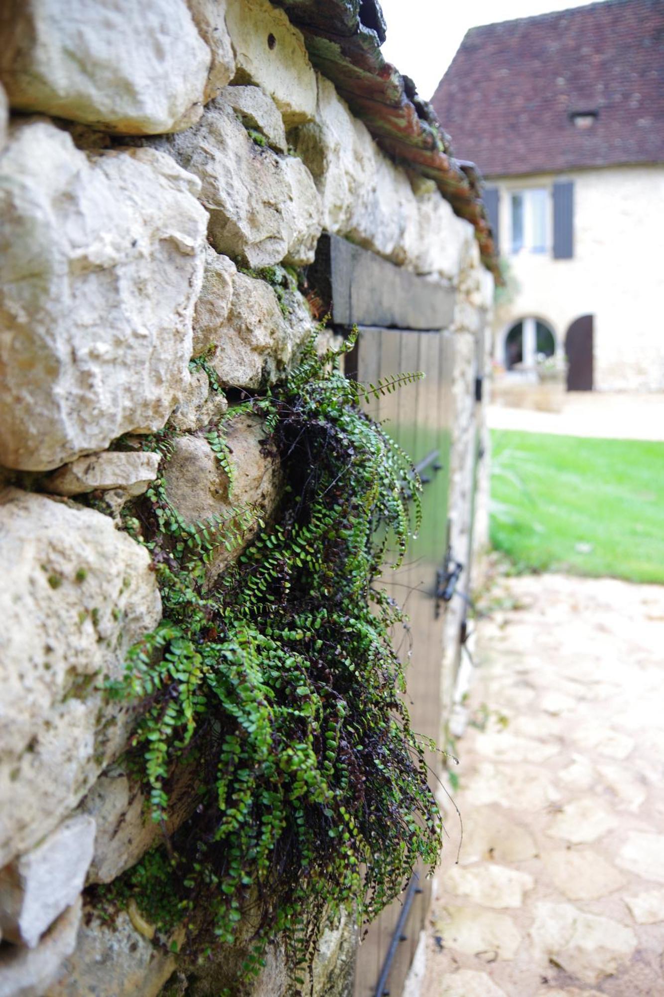 Demeure Du Vallon - Chambres D'Hotes De Charme Azerat Bagian luar foto